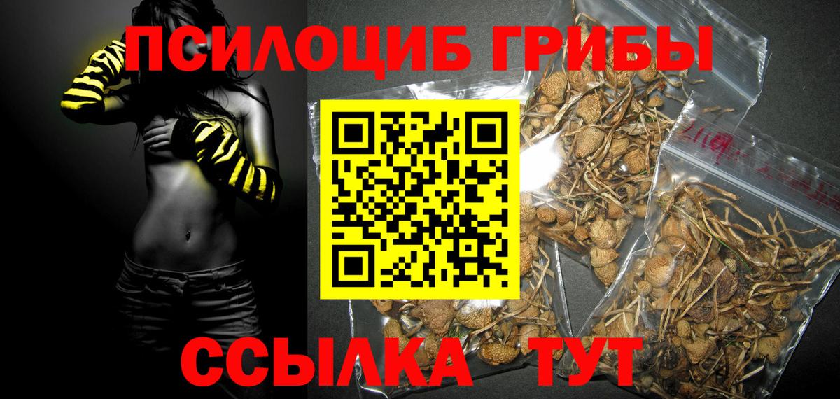 Псилоцибиновые грибы мицелий Реутов